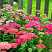 общий вид