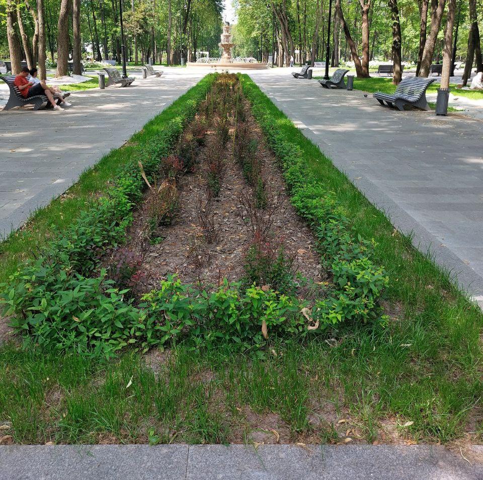 Озеленение Парка Северного речного вокзала в Москве | ИЛЬБОСКО