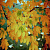 Клен остролистный 'Саммершейд' (Acer platanoides 'Summershade')