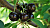 Черешня 'Ленинградская чёрная' (Prunus avium 'Ленинградская чёрная')