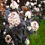 Пузыреплодник калинолистный 'Ред Барон' (Physocarpus opulifolium 'Red Baront')